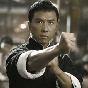 Donnie Yen - martial artist
